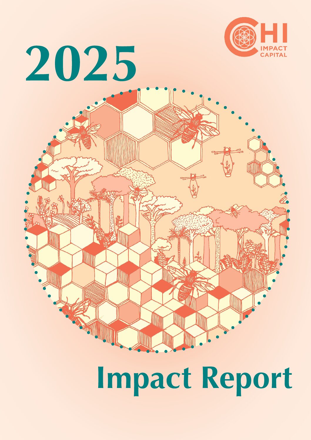 Impact Report Chi25_FVHD